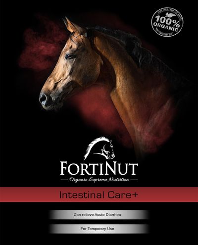 Intestinal Care+ (2dl sample)