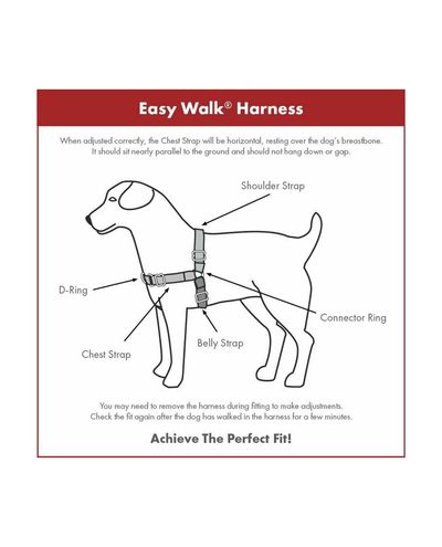 PetSafe Easy Walk-hundsele+koppel, röd