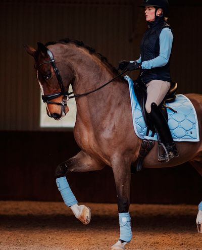 Clear Sky Dressage Pad Signature (Full)