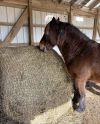 Slow Bale Buddy (Small big bale)