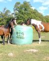 Big Bale Buddy (Extra Large)