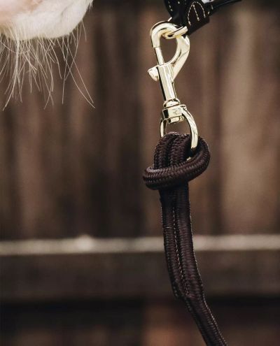 Lead Rope Loop Brown (2m) Kentucky