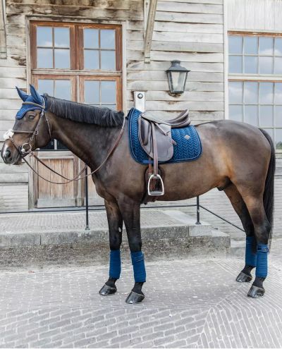 Velvet Pearls Navy Dressage (Full)