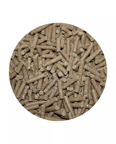 DailyVit (4kg bäst före) Nordic