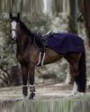 Riding Rug 160g Navy
