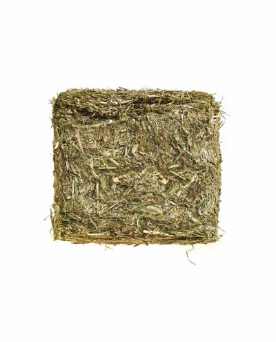 PA Compact (3kg)