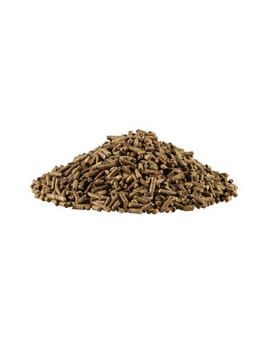 Favorit Plus Pellets (15kg)