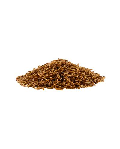 Dried Mealworm (1kg) Dried Mealworm (1kg)