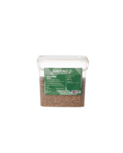 Dried Mealworm (1kg) Dried Mealworm (1kg)