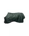 Turnout Rug All Weather Waterproof Pro 160g Green