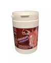 Criollo Elektrolyytti+aminohapot (800g)