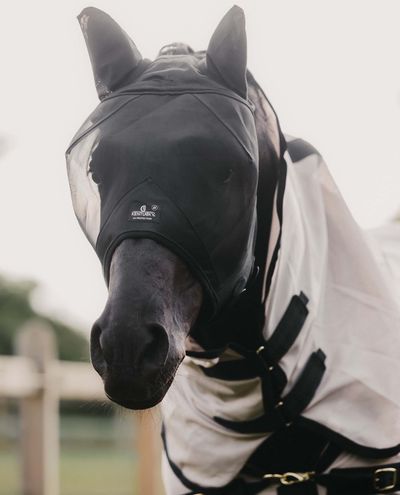Fly Mask Classic with ears Black (Full)