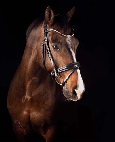 Deluxe Bridle Knight Power Single Trens Mrs.Ros