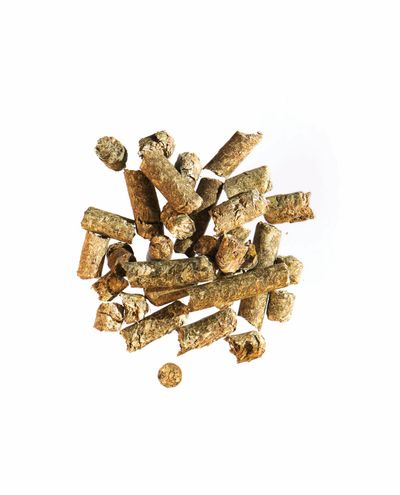 Corn Cobs (sample) Agrobs