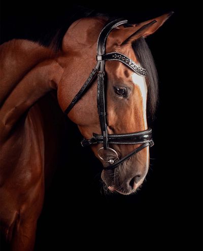Johnny Silver Bridle Trens Mrs. Ros