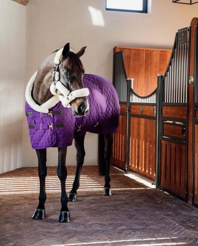 Show Rug Royal Purple 160g