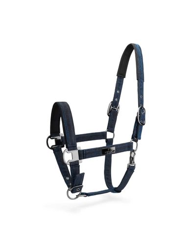 Festive Sapphire Halter+ leap rope (Cob ) Mrs.Ros
