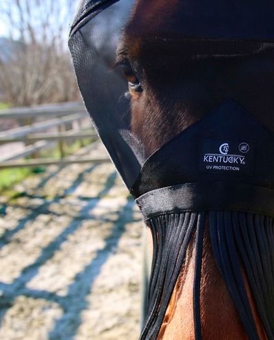 Fly mask classic with ears & nose tassels