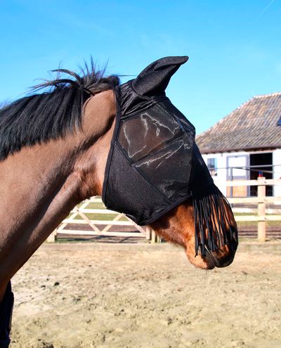 Fly mask classic with ears & nose tassels Fly mask classic with ears & nose tassels