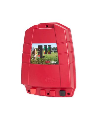 Olli 250B+