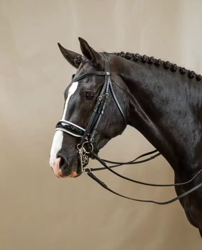 Spänne träns med lackläder med vit stoppning Dyon
