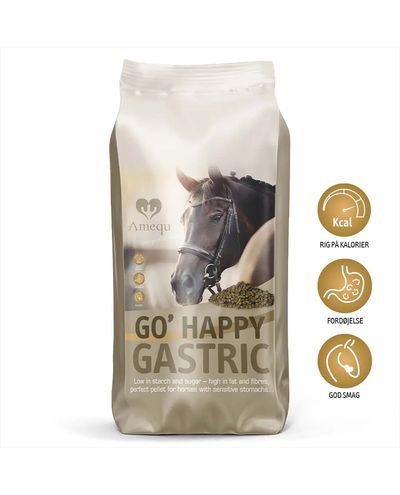 GO' Happy Gastric (15kg) Amequ