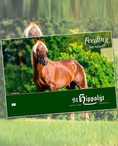 St Hippolyt-katalog (på finska) St Hippolyt-katalog (på finska)