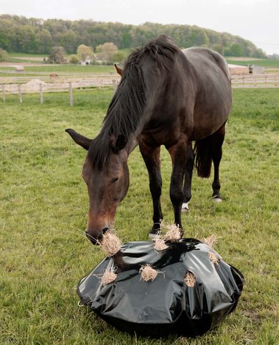 Play & Haybag Långsam matare rund L