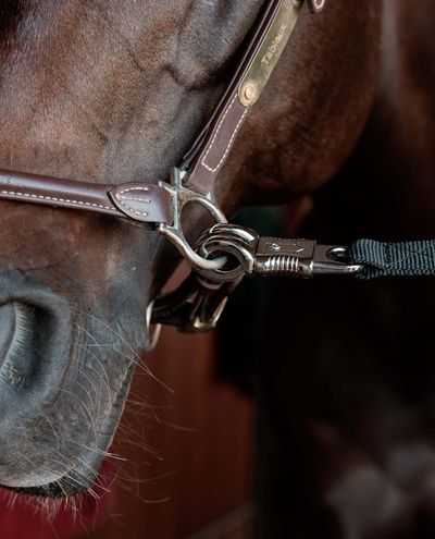Ledare och korsband för hästboxar Ledare och korsband för hästboxar
