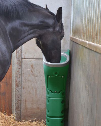 Uppvärmd vattenkopp