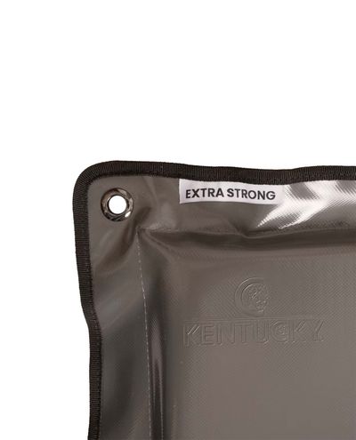 Sparkdyna Extra Stark 