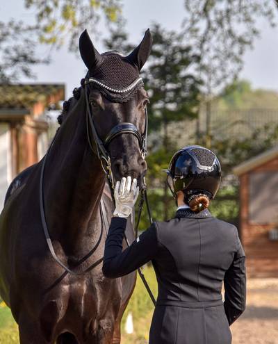 Nightshade Reflektion BelliNoxx