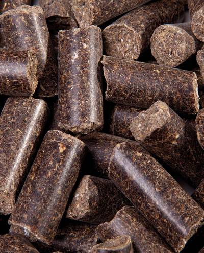 Lecker Bricks Lakritz (1 kg) Eggersmann