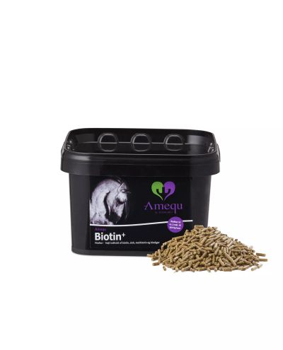 Biotin+ (1.5kg)