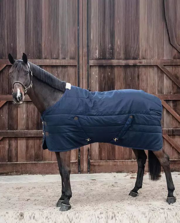 Stable Rug Classic Navy 100gr